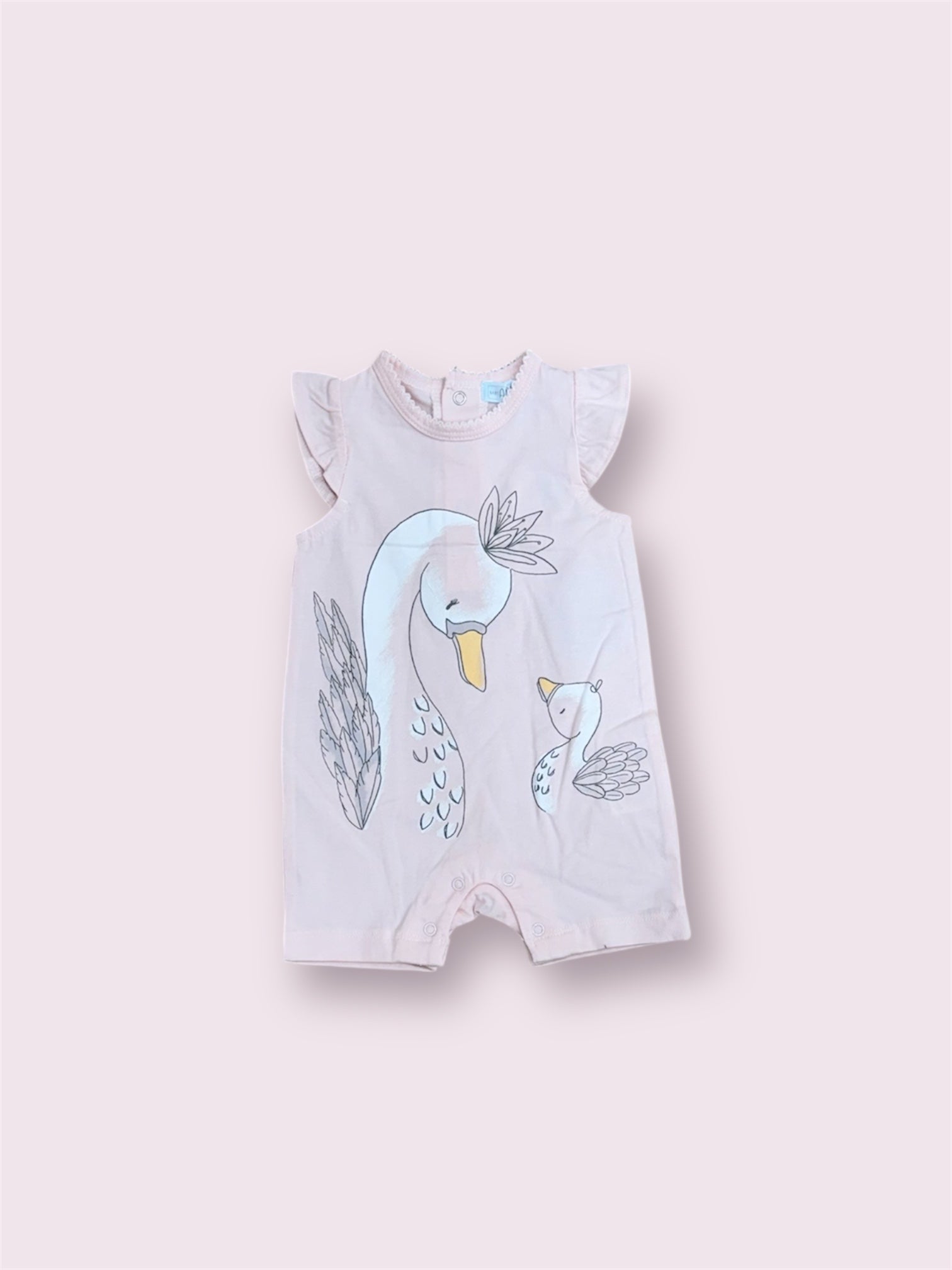 REF: BGV73547